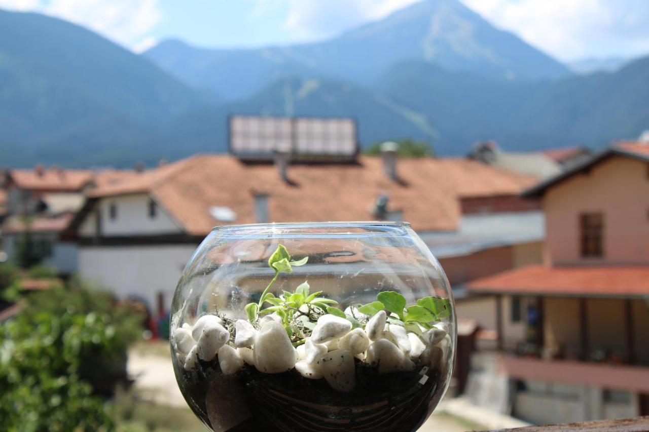 North Star Hotel Bansko Ngoại thất bức ảnh